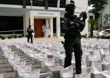 DNCD y DEA preparan informe sobre cargamento de cocaína decomisado en Caucedo