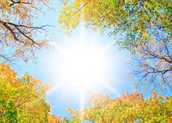 Lluvias aisladas en varias provincias y temperaturas agradables