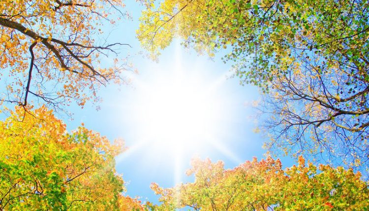 Lluvias aisladas en varias provincias y temperaturas agradables