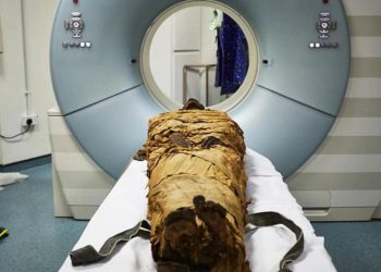 Descubren en el ADN de una momia egipcia la enfermedad que mató a 50 millones