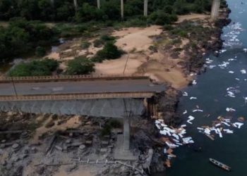 Colapso de puente en Brasil deja al menos ocho muertos y nueve desaparecidos