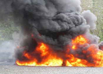 Inacif quema 929 kilos de diversas drogas incautadas en los primeros días del 2025