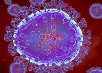 India reporta dos casos de HMPV en bebés con bronconeumonía