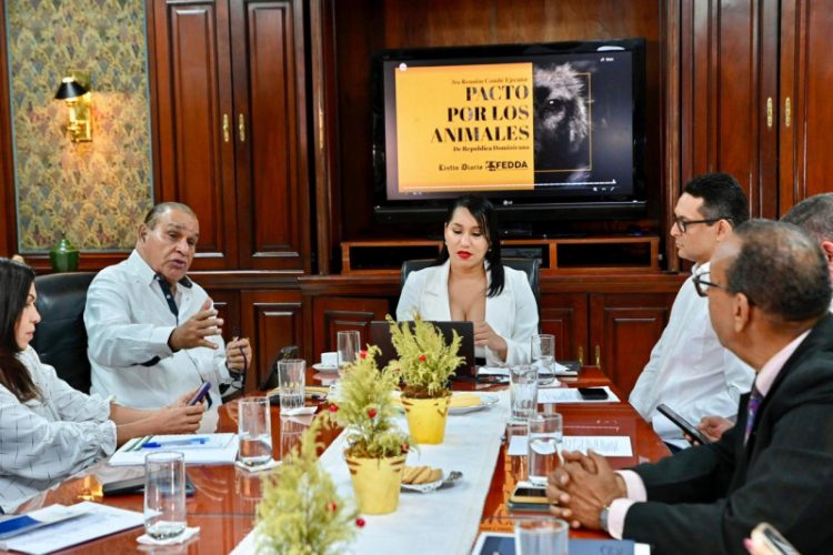 Comité organiza jornada de esterilización para animales callejeros