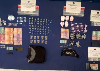 DNCD incauta más de medio millón de gramos de drogas en primeros 20 días de enero