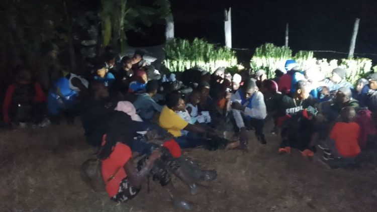 Operativos fronterizos: 378 haitianos ilegales detenidos