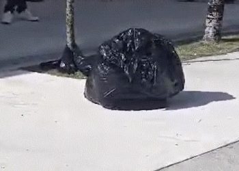 Mujer deja cadáver de su hija ante tribunal de Higüey