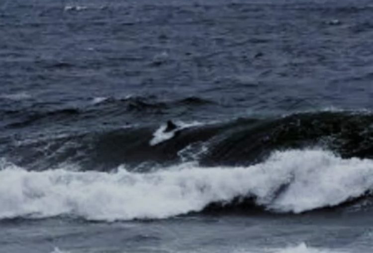 Vaguada y viento del este: Clima y alertas marítimas