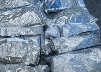 Confiscan 12 paquetes de marihuana en tanque de comida