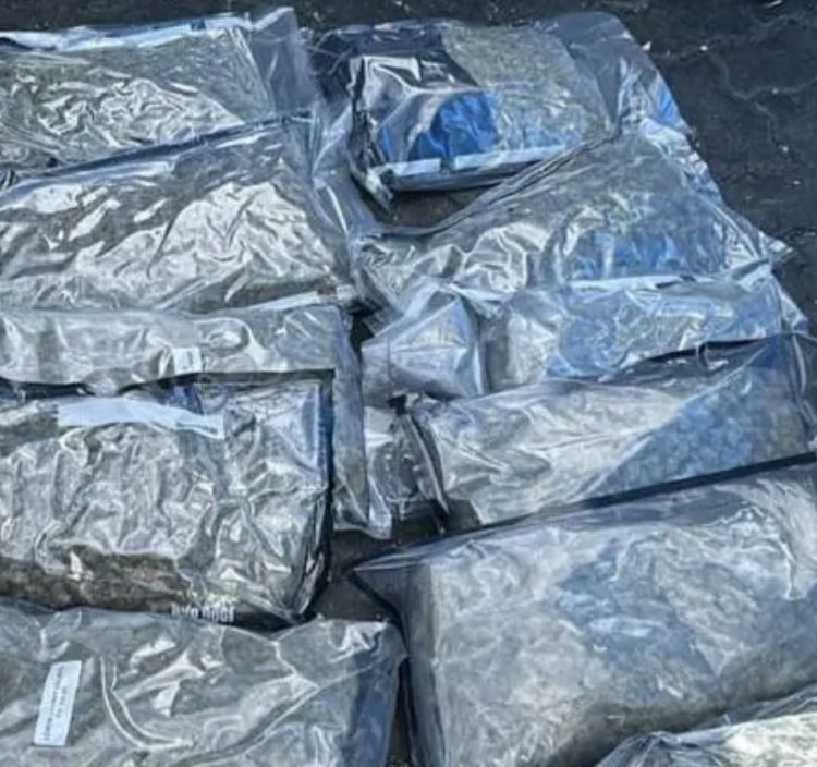 Confiscan 12 paquetes de marihuana en tanque de comida