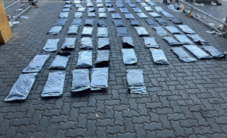 DNCD ocupa 95 paquetes de marihuana en puerto de Haina