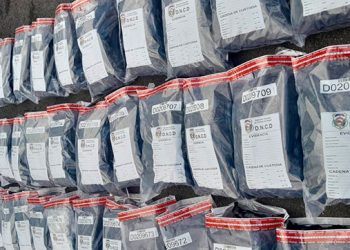 DNCD incauta 180 paquetes de marihuana en Puerto Plata