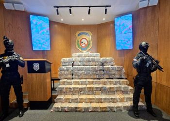 Incautan 766 paquetes de cocaína en Pedernales