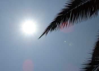 Clima: Escasas lluvias y temperaturas agradables