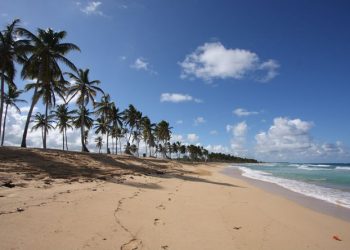 Lluvias aisladas en el norte, centro con clima agradable y oleaje normal