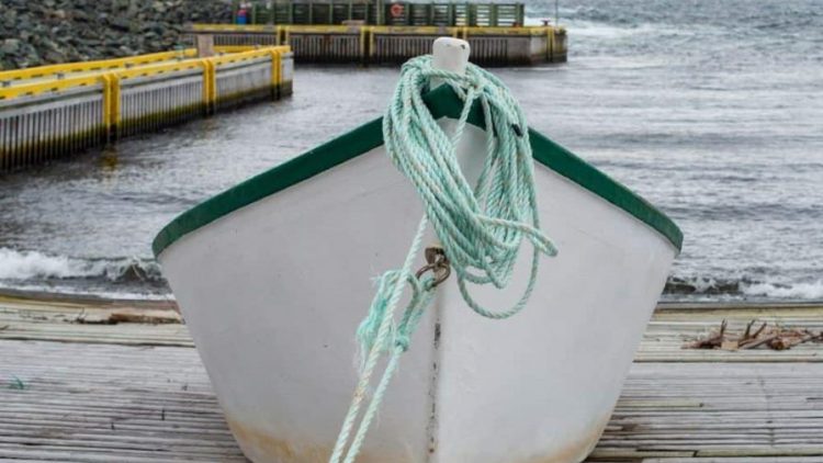 Confiscan 744 kg de cocaína y arrestan a 17 migrantes en Puerto Rico