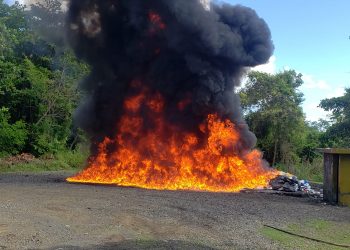 Inacif incinera más de media tonelada de drogas incautadas en recientes operativos