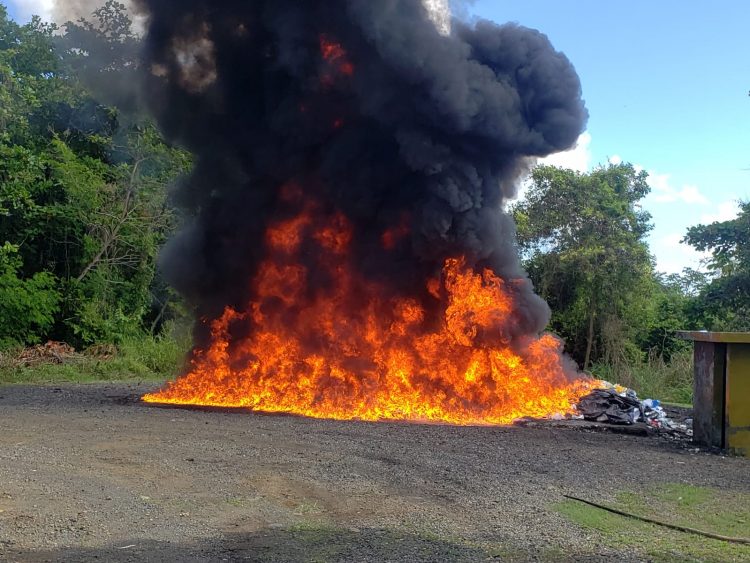 Inacif incinera más de media tonelada de drogas incautadas en recientes operativos