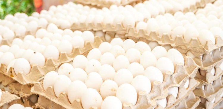 Roban 100,000 huevos de un camión en Pensilvania