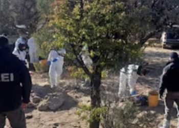 Descubren 72 cuerpos en fosas clandestinas en México