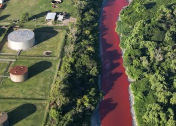 Río se tiñe de rojo de un día para otro:"un arroyo de sangre"