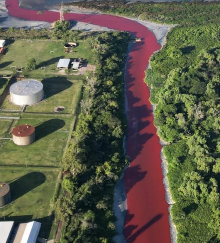 Río se tiñe de rojo de un día para otro:"un arroyo de sangre"
