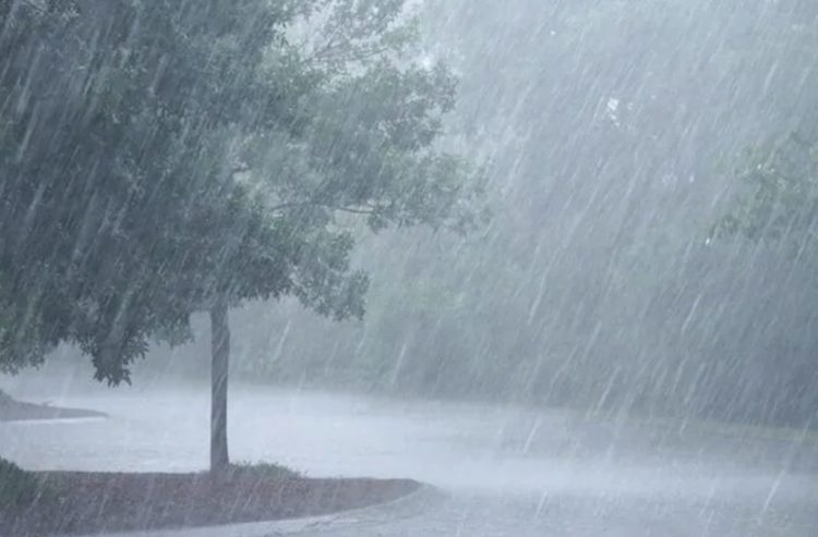 Viento del noreste: Lluvias débiles y oleaje peligroso