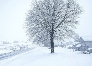 Tormentas invernales en EEUU dejan 14 muertos
