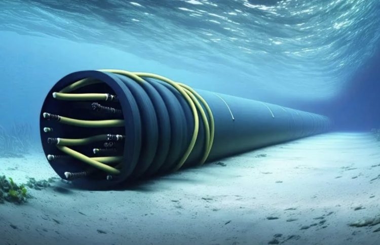 Meta tenderá cable submarino de 50.000 km por cinco continentes