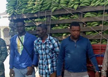 Detienen a dominicanos por ocultar haitianos en camión de guineos