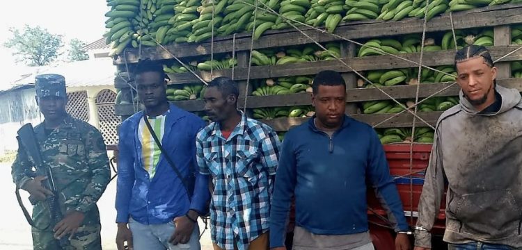 Detienen a dominicanos por ocultar haitianos en camión de guineos