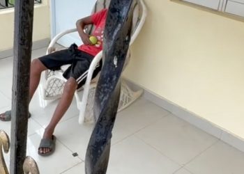 Padres encierran a un adolescente en Monte Plata por presunto consumo de drogas