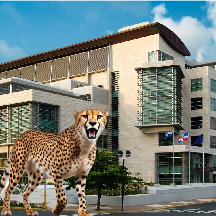 Imponen 18 meses de prisión preventiva a implicados en el caso Guepardo