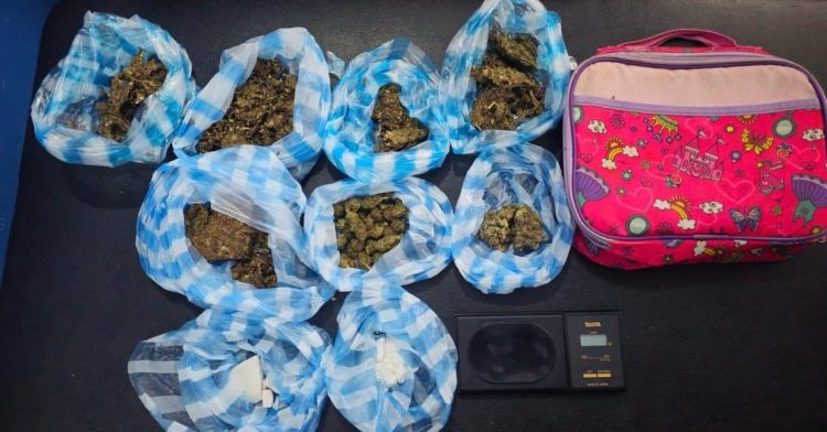 Desmantelan varios puntos de microtráfico en Santo Domingo Norte