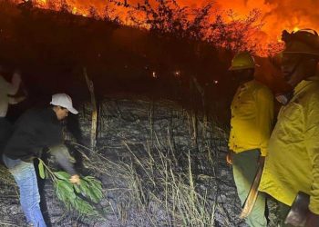 Fuego forestal afecta 180 tareas en Dajabón