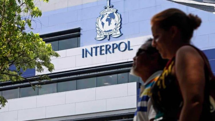 Interpol arresta a 365 personas por tráfico de especies protegidas