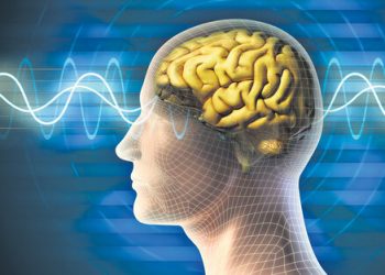 Anuncian próximo Congreso de Innovación en Neurociencias, Psicología y Educación (CIN 2025)