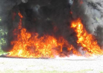 Inacif incinera nuevo cargamento de 738 kg de drogas variadas