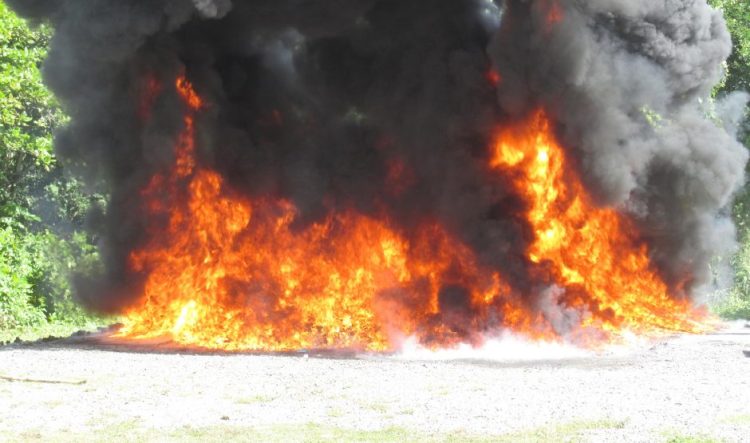 Inacif incinera nuevo cargamento de 738 kg de drogas variadas