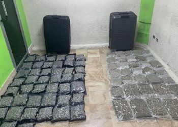 Incautan 79 paquetes de marihuana en Punta Cana