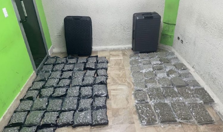 Incautan 79 paquetes de marihuana en Punta Cana