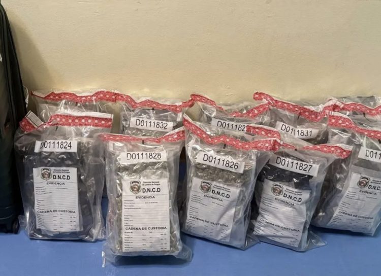 Incautan 32 paquetes de marihuana en eeropuerto de Puerto Plata