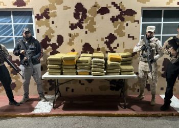 CESFRONT y DNCD incautan más de 293 libras de marihuana en Pedernales