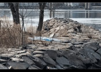 Hallan cadáver de mujer flotando en Little Bay, Queens