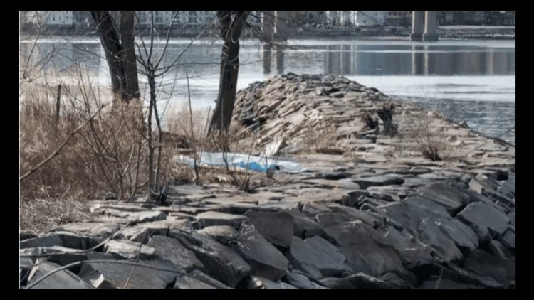 Hallan cadáver de mujer flotando en Little Bay, Queens