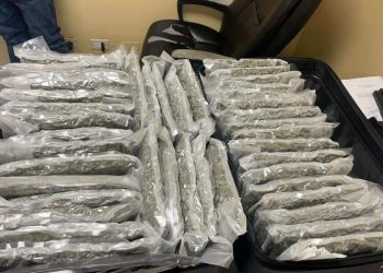 Detienen a siete canadienses con 509 paquetes de marihuana en La Romana
