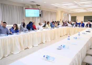 Comisión Bicameral define la metodología de estudio del Código Penal