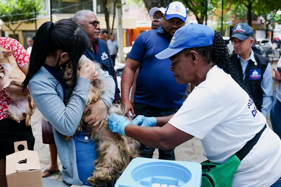 ¡Cuida a tu mejor amigo!: Salud Pública da vacuna gratuita a tus mascotas contra la rabia