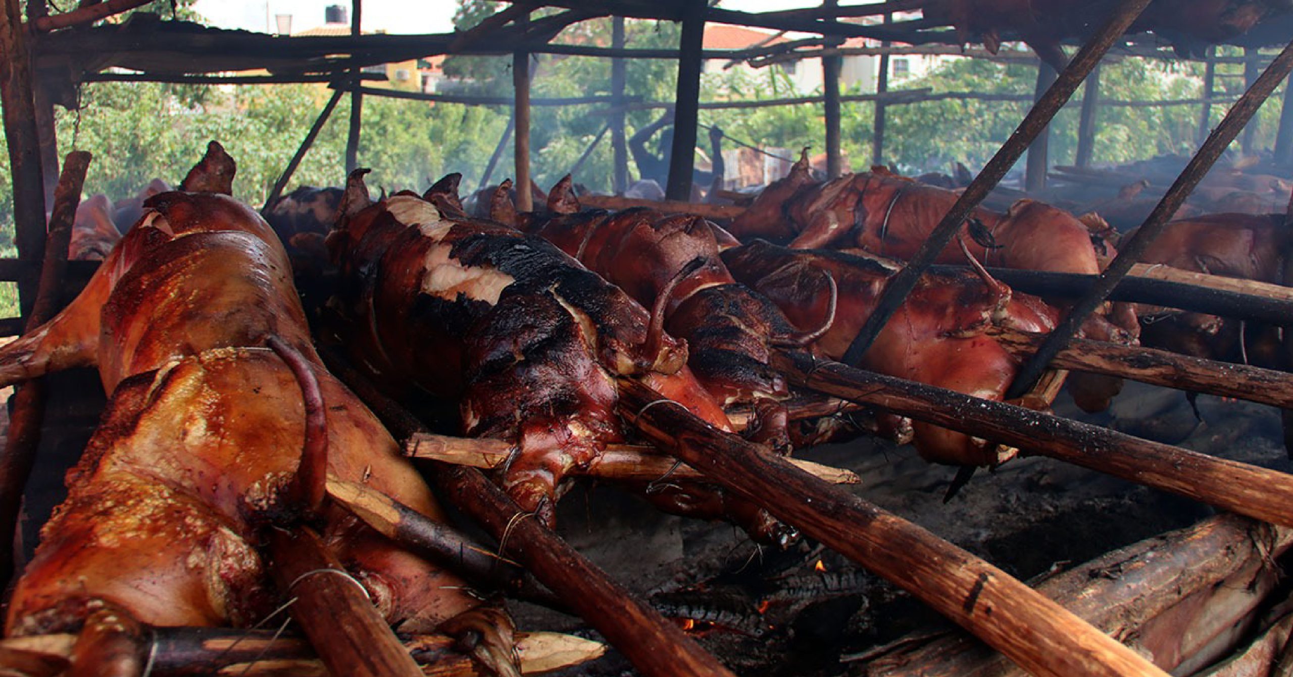 Pro Consumidor iniciará operativo de supervisión en lechoneras para garantizar calidad de las carnes