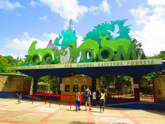 Zoológico Nacional desmiente importación de especies venenosas desde Puerto Rico